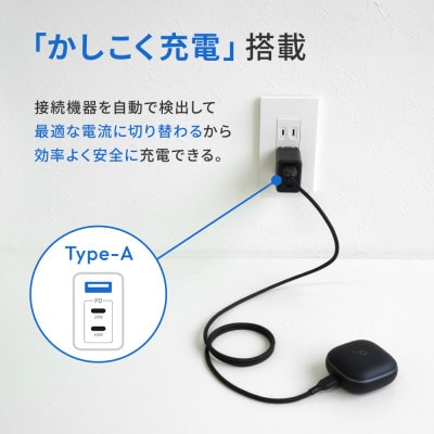 最大65W出力 USB Type-C×2 USB Type-A×1 AC充電器 ブラック