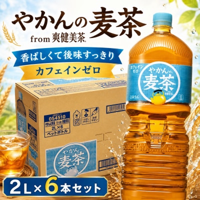 やかんの麦茶 from 爽健美茶 2L 6本セット ペットボトル コカ・コーラ