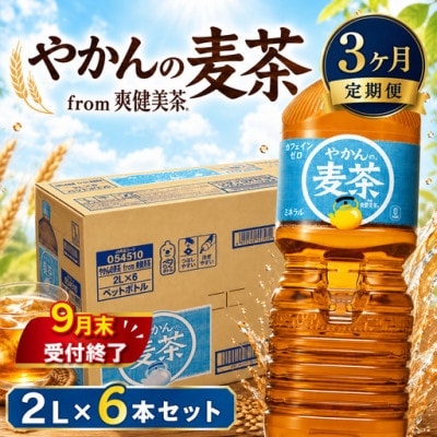 発送月固定定期便】やかんの麦茶 from 爽健美茶 定期便 2L×6本 1ケース