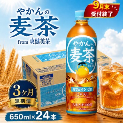 【発送月固定定期便】やかんの麦茶 from 爽健美茶 定期便 650ml×24本 1ケース全3回