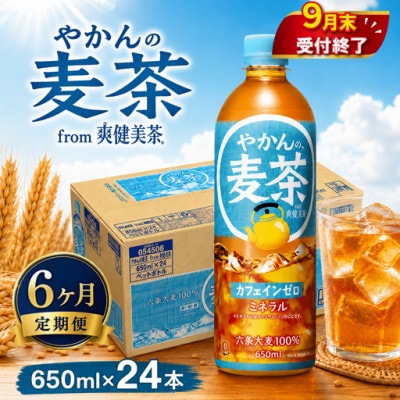 【発送月固定定期便】やかんの麦茶 from 爽健美茶 定期便 650ml×24本 1ケース全6回