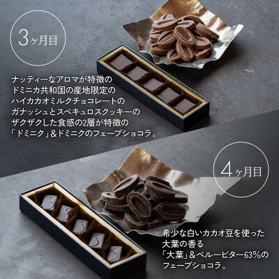 【定期便/6回】ボンボンショコラ5個&フェーブ80g(コイン状チョコレート[No5354-0413]