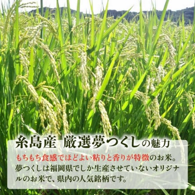 【令和7年産新米】いとし米 厳選夢つくし 10kg(糸島産) 糸島/三島商店 [AIM044]