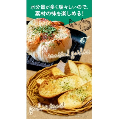 【令和8年発送先行受付】生にんにく(福地ホワイト六片種)1.5kg