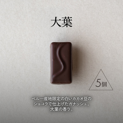 ボンボンショコラ5個(大葉)&フェーブ80g(コイン状チョコレート)[No5354-0415]