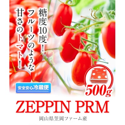 ZEPPIN PRM(プレミアム)500g　A-187a