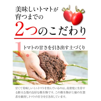 ZEPPIN PRM(プレミアム)500g　A-187a