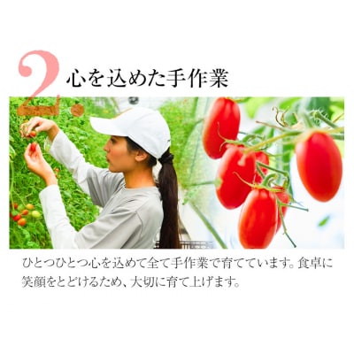 ZEPPIN PRM(プレミアム)500g　A-187a