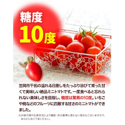 ZEPPIN PRM(プレミアム)500g　A-187a