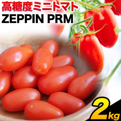 ZEPPIN PRM(プレミアム)2kg　B-138a