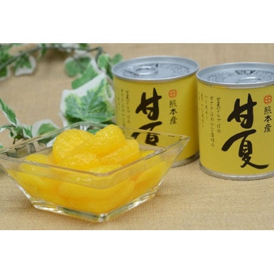 甘夏缶詰(24缶入×2ケース)(芦北町)B242-50