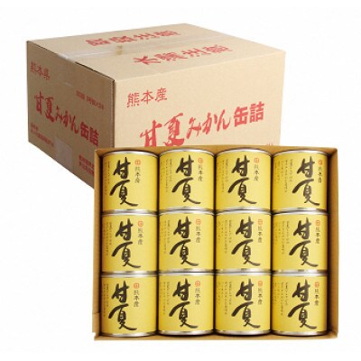 甘夏缶詰(24缶入×2ケース)(芦北町)B242-50