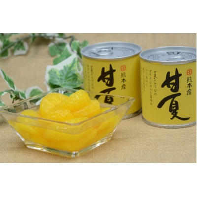 甘夏缶詰(10缶入)(芦北町)B45-13
