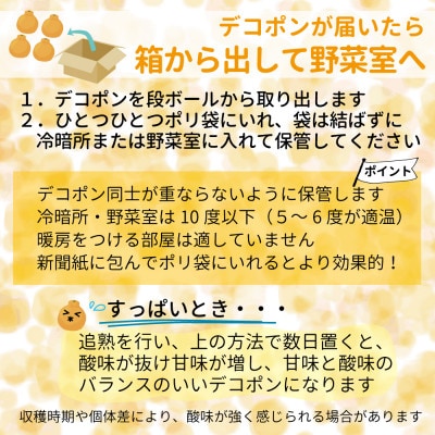 【先行受付】熊本県産 ハウスデコポン3kg 令和7年12月中旬より順次発送(芦北町)B26-16