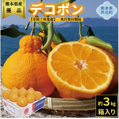 【先行受付】熊本県産 露地デコポン3kg 令和8年2月下旬より順次発送(芦北町)B5-12