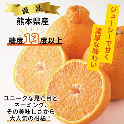 【先行受付】熊本県産 露地デコポン3kg 令和8年2月下旬より順次発送(芦北町)B5-12
