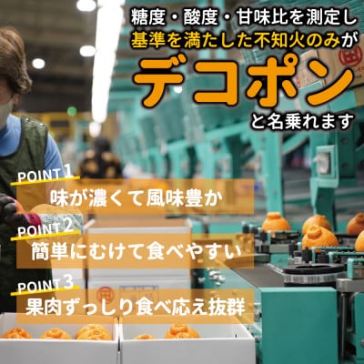 【先行受付】熊本県産 露地デコポン3kg 令和8年2月下旬より順次発送(芦北町)B5-12