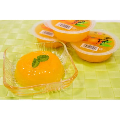 【2ヵ月毎定期便】デコポンゼリー(12個入)B343-33(芦北町)全3回