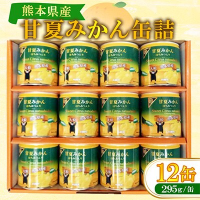 甘夏みかん缶詰(12缶入)　B80-15
