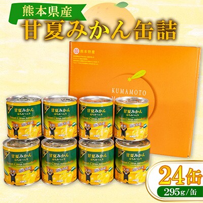 甘夏みかん缶詰(24缶入)　B83-26
