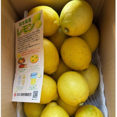 熊本県芦北町 貯蔵レモン約3kg B363-13