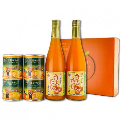 甘夏みかん缶詰4缶 まるたんジュース2本セット B167-12