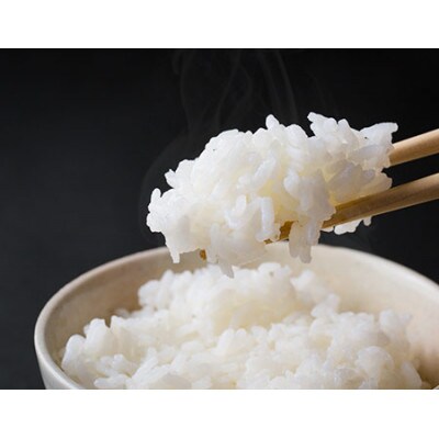 【先行受付】くまさんの輝き 匠の米 白米10kg(令和7年11月から順次発送)