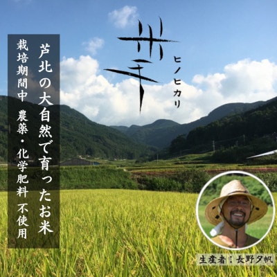 米手(こめて) ヒノヒカリ玄米3kg【栽培期間中農薬・化学肥料不使用米】令和7年産 B138-18