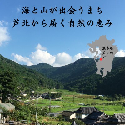 米手(こめて) ヒノヒカリ白米3kg【栽培期間中農薬・化学肥料不使用米】令和7年産 B139-20