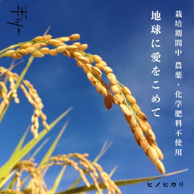 米手(こめて) ヒノヒカリ玄米5kg【栽培期間中農薬・化学肥料不使用米】令和7年産 B134-29