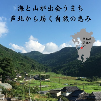 米手(こめて) ヒノヒカリ白米5kg【栽培期間中農薬・化学肥料不使用米】令和7年産 B136-31