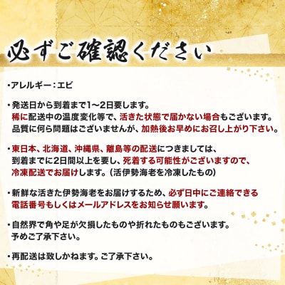 【漁師直送】室戸沖(活)伊勢海老　1kg　2～5尾