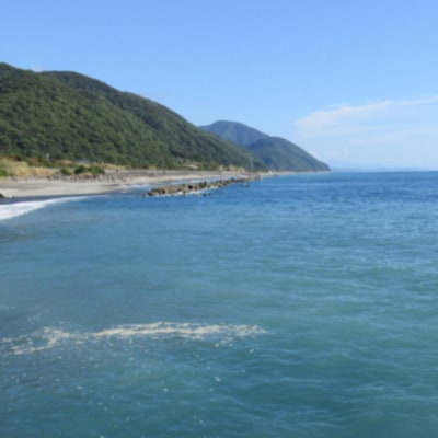 【漁師直送】室戸沖(活)伊勢海老　2kg(4～10尾)魚函水槽セット
