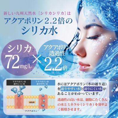 九州天然水 シリカシリカ 500ml×24本