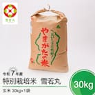新米 米 雪若丸 30kg 令和7年産 【2025年12月下旬発送】山形県産 特別栽培米 玄米