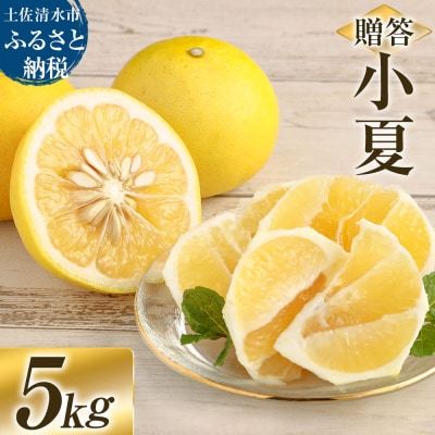 R8発送 先行受付 オレンジ園の小夏5kg 日向夏 柑橘 フルーツ みかん 高知名物【R01448】