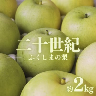 梨　なし　二十世紀　約2kg　【2025年発送】No.1726