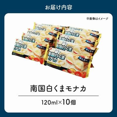 南国白くまモナカ10個セット