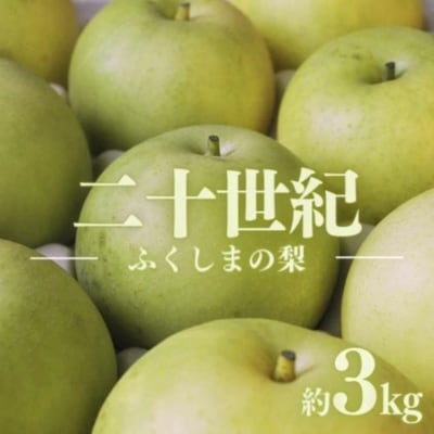 梨　なし　二十世紀　約3kg【2025年発送】No.1727