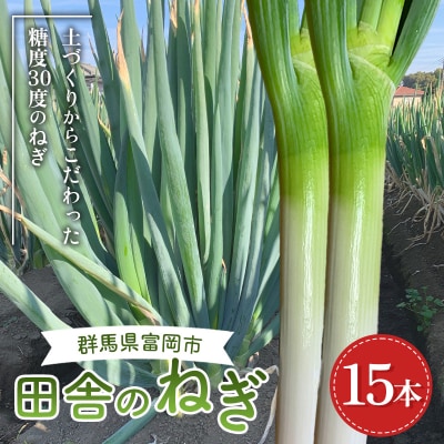 田舎のねぎ(15本) 糖度30 長ネギ 長ねぎ 長葱 ねぎ ネギ 有機肥料 野菜 F21E-023