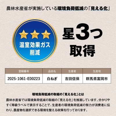 田舎のねぎ(15本) 糖度30 長ネギ 長ねぎ 長葱 ねぎ ネギ 有機肥料 野菜 F21E-023