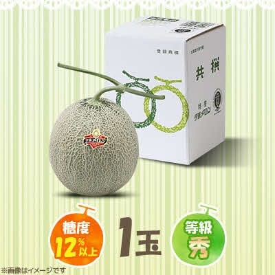 【先行予約受付中】夕張メロン1玉(糖度12%以上　等級:秀) N7