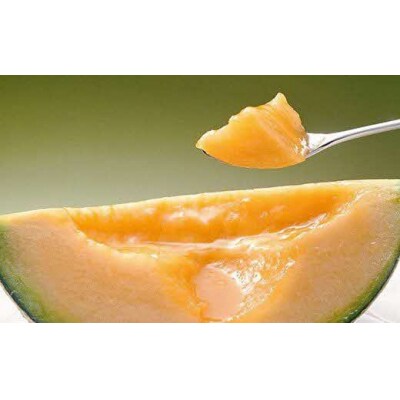 【限定100玉!】夕張メロン 1玉(糖度13%以上　等級:特秀) N8