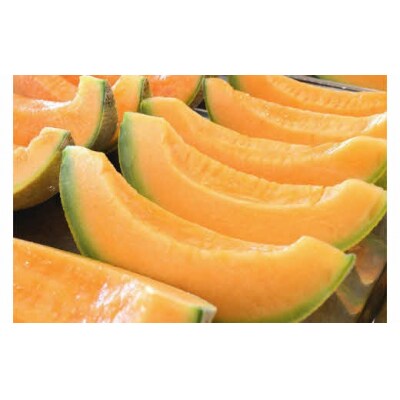 【限定100玉!】夕張メロン 1玉(糖度13%以上　等級:特秀) N8