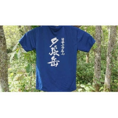 夕張岳Tシャツ(青系(インディゴ)・Lサイズ) YP2