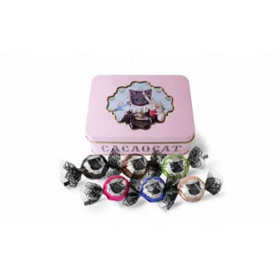 DREAMING CACAOCAT 12個入り　D05