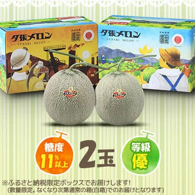 【先行予約受付中】夕張メロン2玉(糖度11%以上　等級:優) N2