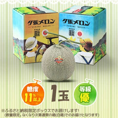 【先行予約受付中】夕張メロン1玉 (糖度11%以上　等級:優) N1