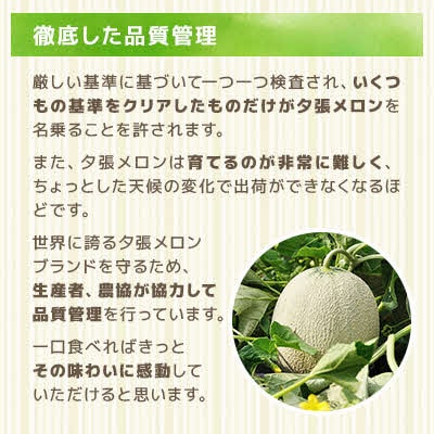 【先行予約受付中】夕張メロン 大箱8kg(糖度11%以上　等級:優　4～6玉入り) N29