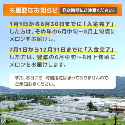 【先行予約受付中】夕張メロン 大箱8kg(糖度11%以上　等級:優　4～6玉入り) N29